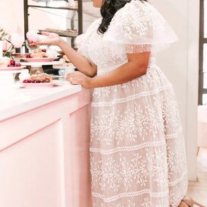 Ivy City Co Sicily Dress with Flutter Sleeves NWOT Size 3XL